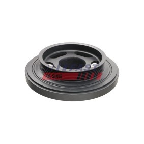 Achetez des Piston FAST FT47130/0 à prix pour 89,70 €