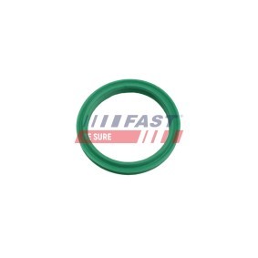 Ansaugkrümmerdichtung von FAST für COROLLA (_E11_) günstig online kaufen