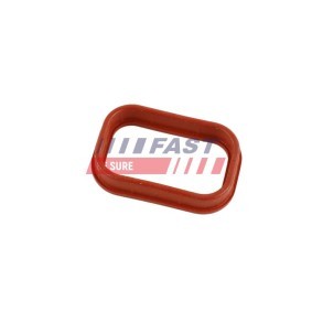Ansaugkrümmerdichtung von FAST FT49435