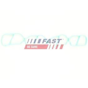 Ansaugkrümmerdichtung von FAST