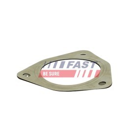 Dichtung, Abgasrohr von FAST FT84820