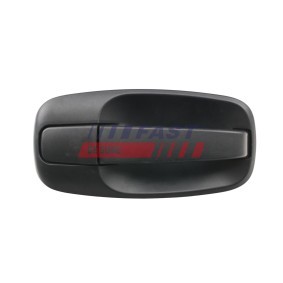 Türgriff FT94306