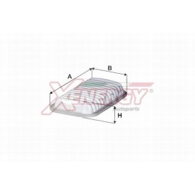 Luftfilter von AP XENERGY X1590183