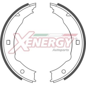 Köp Bromsbacksats av AP XENERGY X50352 till det låga priset 323,96 kr