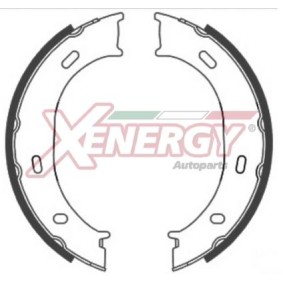 Bremsbackensatz von AP XENERGY