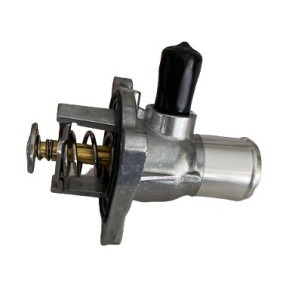 OPEL Kühlwasserthermostat von GOOM