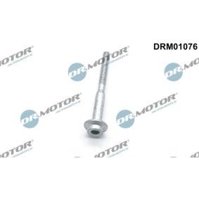 Compre Arandela del inyector de DR.MOTOR AUTOMOTIVE online para SUPERB Ranchera familiar (3T5) a precios moderados