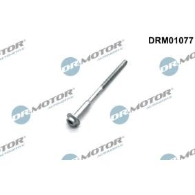 Achetez des Vis, support pour contrôleur d'injecteurs DR.MOTOR AUTOMOTIVE DRM01077 à prix pour 5,29 €