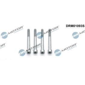 Osta Ruuvi ruiskutussuutinpidike DR.MOTOR AUTOMOTIVE:llä DRM01093S edullisesti hintaan 14,23 €
