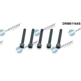 Schraube, Einspritzdüsenhalter DRM01164S