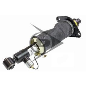 Acquista Ammortizzatore pneumatico da AIC 71046 a buon mercato per soli 1523,72 €