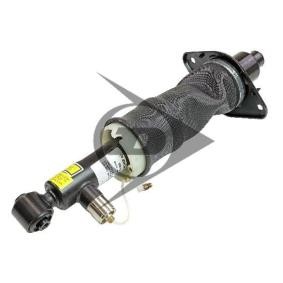 Acquista Ammortizzatore pneumatico da AIC 71047 a buon mercato per soli 1523,72 €