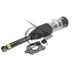 Acquista Ammortizzatore pneumatico da AIC 71231 a buon mercato per soli 1203,25 €