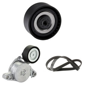 Keilrippenriemensatz 542R1077 MINI PACEMAN von RIDEX