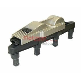 Achetez des Bobine d'allumage METZGER 0880013 à prix pour 97,38 €