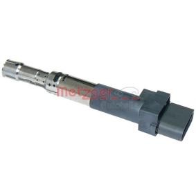 Achetez des Bobine d'allumage METZGER 0880122 à prix pour 55,79 €