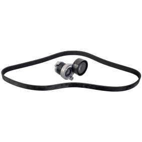 Compre Jogo de correias trapezoidais estriadas da FEBI BILSTEIN 177165 a um preço baixo por 64,46 €