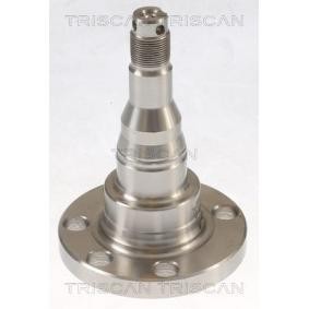 Radnabe von TRISCAN