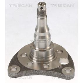 Radnabe von TRISCAN