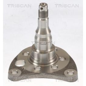 Radnabe von TRISCAN