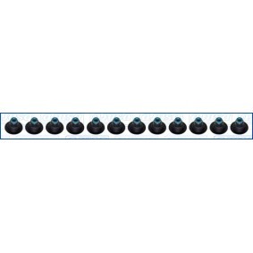 Dichtungssatz, Ventilschaft 57087300