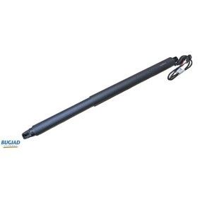 Compre Amortecedor da mala da BUGIAD BRD50732 a um preço baixo por 198,16 €