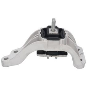 Achetez des Suspension, boîte de vitesse manuelle BIRTH 53505 à prix pour 137,79 €