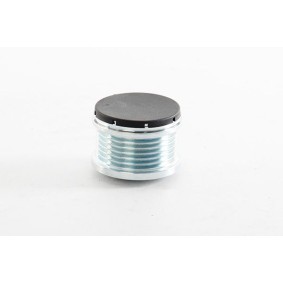 Achetez des Poulie roue libre, alternateur BSG BSG 30-615-057 à prix pour 57,09 €