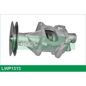 Wasserpumpe von LUCAS LWP1313