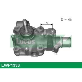 Achetez des Pompe à eau LUCAS LWP1333 à prix pour 98,87 €