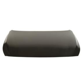 Motorhaube 6803-00-3137280P