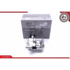 Bremssattel 50SKV801