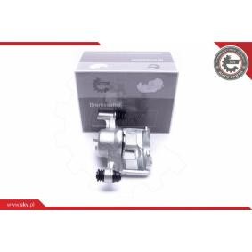Bremssattel 50SKV802