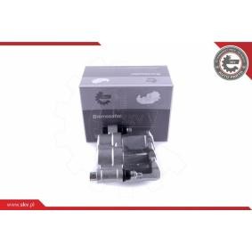 Bremssattel 50SKV832