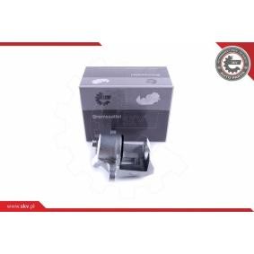 Bremssattel 50SKV881