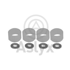 Achetez des Kit de réparation, injecteur Aslyx AS-521015 à prix pour 11,49 €