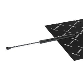Achetez des Vérin de coffre RIDEX 219G1097 à prix pour 15,40 €