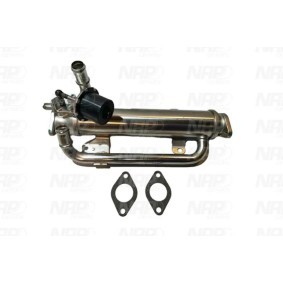 Osta EGR-jäähdytin NAP carparts:llä CPL25206 edullisesti hintaan 283,67 €