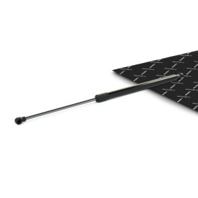 Köp Gasfjäder till baklucka av RIDEX 219G1106 till det låga priset 271,29 kr