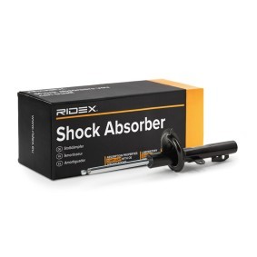 Stoßdämpfer von RIDEX
