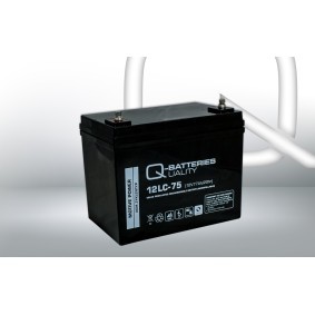 Achetez des Batterie Q-BATTERIES 642 à prix pour 176,89 €