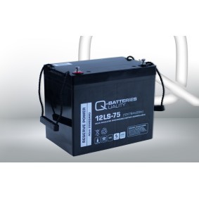 Achetez des Batterie Q-BATTERIES 715 à prix pour 200,77 €