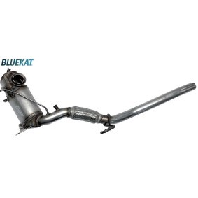 Köp Partikelfilter (DPF) av BLUEKAT 444032 till det låga priset 9528,95 kr