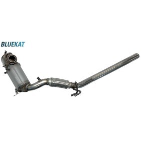 Compre Filtro de partículas da BLUEKAT 444036 a um preço baixo por 636,53 €