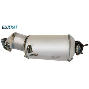 Achetez des Filtre à particules BLUEKAT 444081 à prix pour 612,29 €