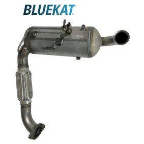 Compre Filtro de partículas da BLUEKAT 446012 a um preço baixo por 673,24 €