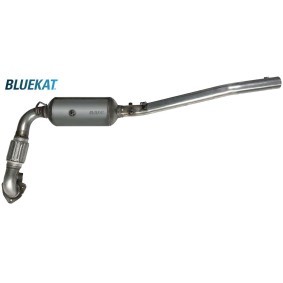 Compre Filtro de partículas da BLUEKAT 446022 a um preço baixo por 722,19 €
