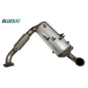 Compre Filtro de partículas da BLUEKAT 556031 a um preço baixo por 880,46 €