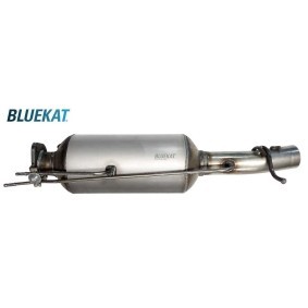 Compre Filtro de partículas da BLUEKAT 556035 a um preço baixo por 893,20 €