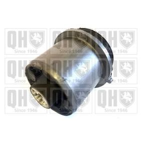 Acquista Supporto assale da QUINTON HAZELL EMS8795 a buon mercato per soli 23,06 €